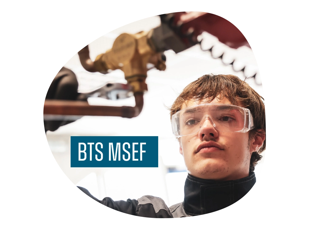 bulle-bts-msef